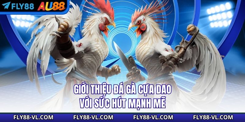 Giới thiệu đá gà cựa dao với sức hút mạnh mẽ